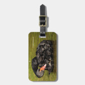 Zwarte Zwan in de Pond Bagagelabel (Voorkant verticaal)