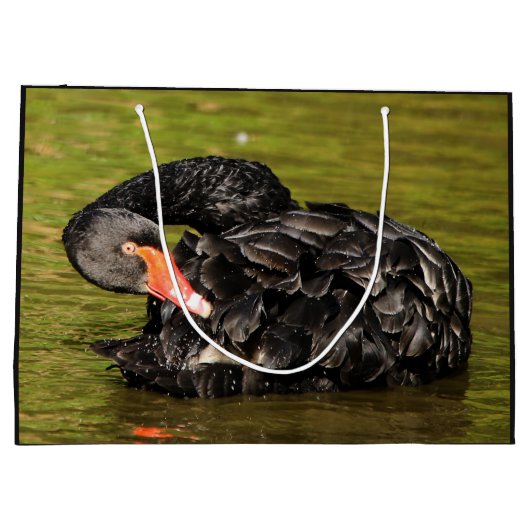 Zwarte Zwan in de Pond Large Cadeautasje (Achterkant)