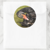 Zwarte Zwan in de Pond Ronde Sticker (Tas)