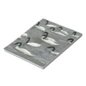 Zwarte zwanen (Cygnus melancoryphus) Notitieblok (Linkerzijde)