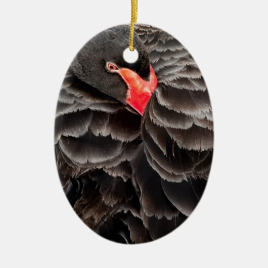 Zwarte zwanenrust keramisch ornament (Voorkant)