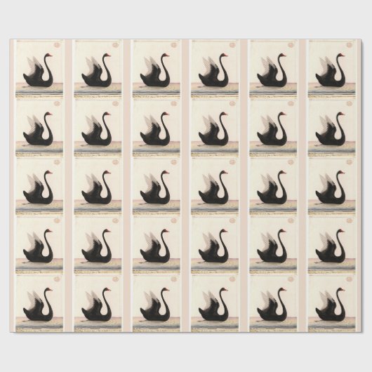 ZWARTE ZWART WRAPPINGSPAPIER CADEAUPAPIER (Vlak)