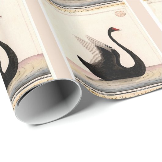 ZWARTE ZWART WRAPPINGSPAPIER CADEAUPAPIER (Rol Hoek)