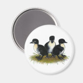 Zwarte Zweedse Eendjes Magneet (Voorkant / Achterkant)