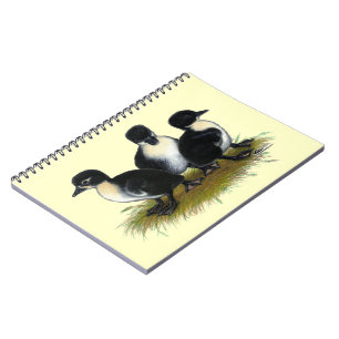 Zwarte Zweedse Eendjes Notitieboek