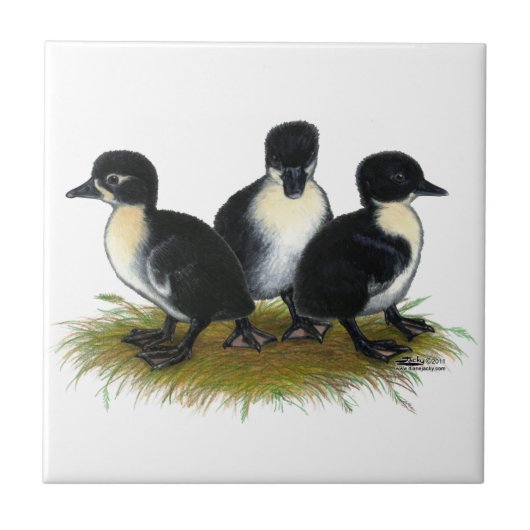 Zwarte Zweedse Eendjes Tegeltje (Voorkant)