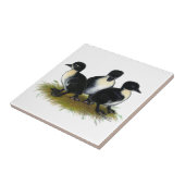 Zwarte Zweedse Eendjes Tegeltje (Zijkant)