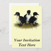 Zwarte Zweedse slangen Kaart (Voorkant / Achterkant)