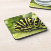 Zwarte-Zwemstaart Bier Onderzetter (Linkerzijde)