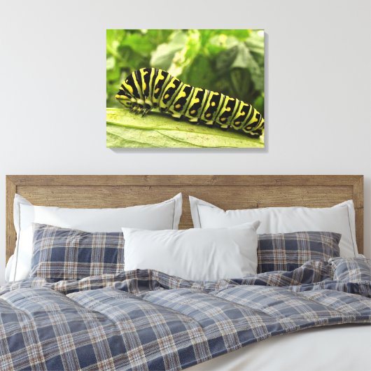 Zwarte-Zwemstaart Canvas Afdruk (Insitu (Slaapkamer))