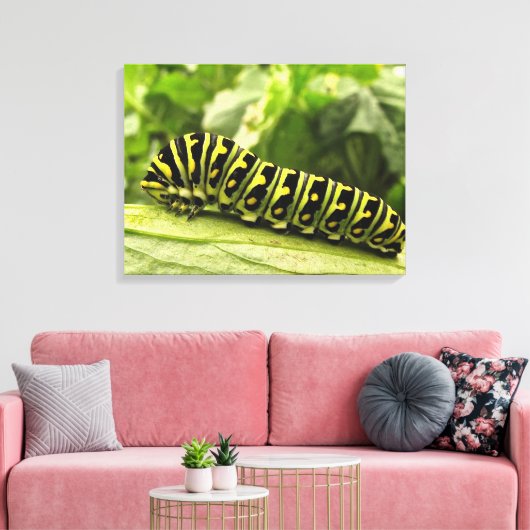 Zwarte-Zwemstaart Canvas Afdruk (Insitu (Woonkamer))