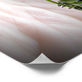 Zwarte-Zwemstaart Poster (Hoek)