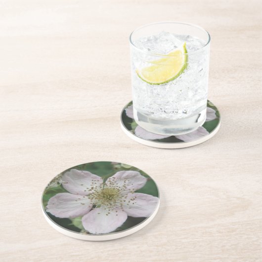 Zwartebes bloem Macro Onderzetters (Zijkant)