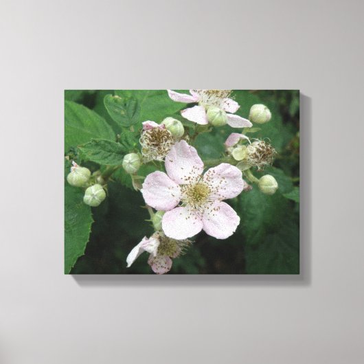 Zwartebesen Bloemen Canvas Print (Voorkant)