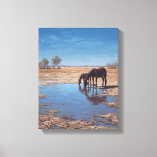 Zwartekad Paard Woestijn Waterreflectie Kunst Canvas Afdruk