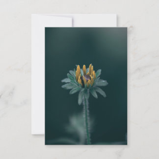 Zwarteogige Susannebloem Bedankkaart