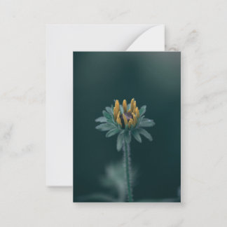 Zwarteogige Susannebloem Notitiekaartje