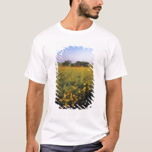 Zwarteogige Susans in hoog gras Prairie bij Neil T-shirt
