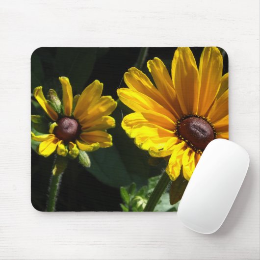 Zwarteogige Susans Muismat (Met muis)