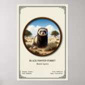 Zwartepootfret Zoölogie Serie Poster (Voorkant)