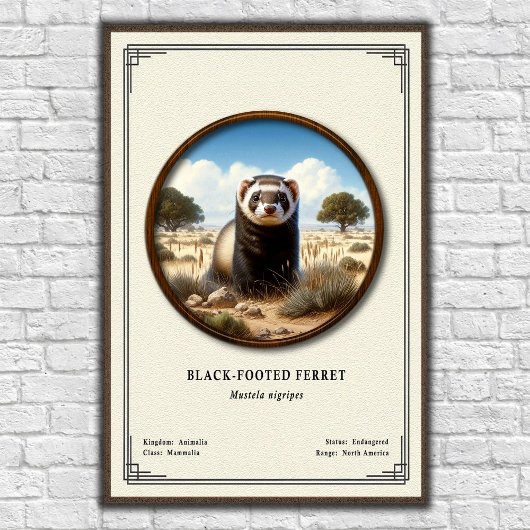 Zwartepootfret Zoölogie Serie Poster