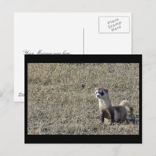 Zwartfort Briefkaart (Voorkant / Achterkant)