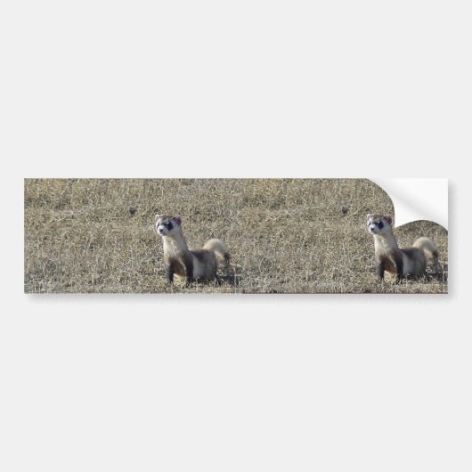Zwartfort Bumpersticker (Voorkant)