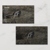 Zwartfort fret (gevangen) visitekaartje (Voorkant / Achterkant)