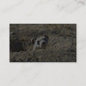 Zwartfort fret (gevangen) visitekaartje (Achterkant)