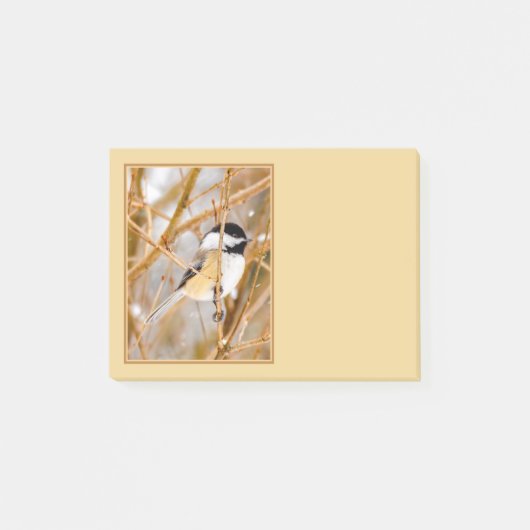 Zwartkapmees - Originele Foto Post-it® Notes (Voorkant)