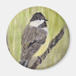 Zwartkapotte Chickadee Bird - acrylschilderij. Magneet