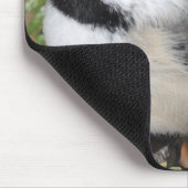Zwartkapotte Cickadee Muismat (Hoek)