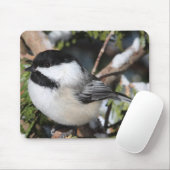 Zwartkapotte Cickadee Muismat (Met muis)