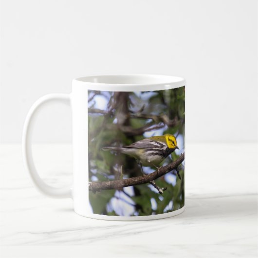 Zwartkeelaarster Koffiemok (Links)