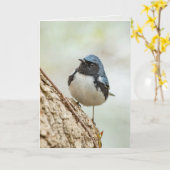 Zwartkeelblauwe strijder kaart (Gele Bloem)