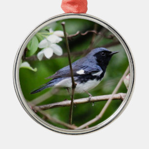 Zwartkeelblauwe strijder metalen ornament
