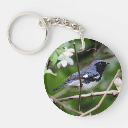 Zwartkeelblauwe strijder sleutelhanger (Voorkant)