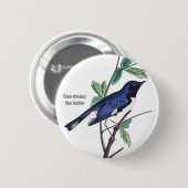 Zwartkeelblauwe Warbler, Audubon, Bird Pin Ronde Button 5,7 Cm (Voorkant /achterkant)