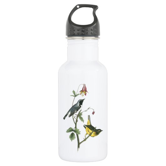 Zwartkeelblauwe Warbler door Audubon Waterfles (Voorkant)