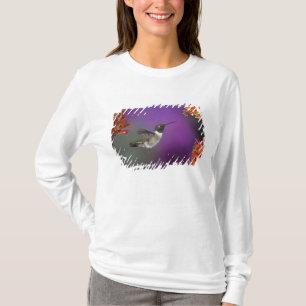 Zwartkeelkolibrie, Archilochus alexandri, T-shirt