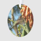 Zwartkeelkolibrie in vlucht ornament (voorkant)