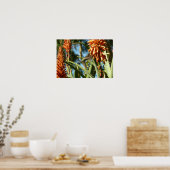 Zwartkeelkolibrie in vlucht poster (Keuken)
