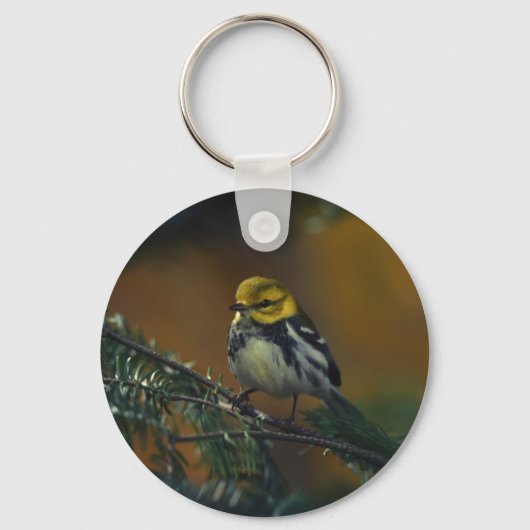 Zwartkeelwieg Sleutelhanger (Voorkant)