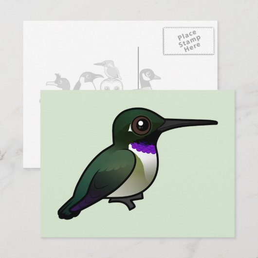 Zwartkinnekolibrie Briefkaart (Voorkant / Achterkant)