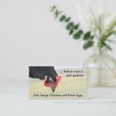 Zwartkip met vrije uitloop visitekaartje (Staand voorkant)