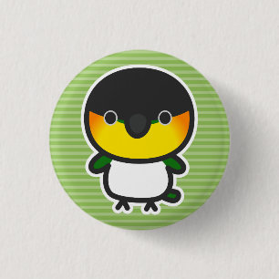 Zwartkopcaique Ronde Button 3,2 Cm