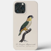 Zwartkopcaïques, Pionites Melanocephalus Case-Mate iPhone Case (Achterkant)