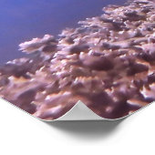 Zwartkophaai op het rif poster (Hoek)