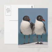 Zwartkoplampen Briefkaart (Voorkant / Achterkant)