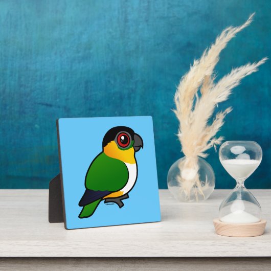 Zwartkoppapegaai Fotoplaat (Insitu)